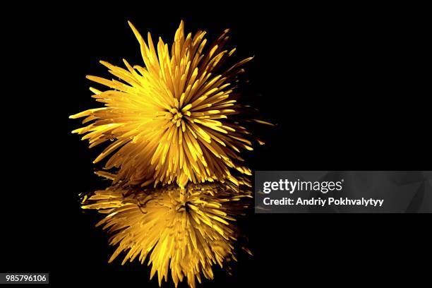 Exploding Pasta Exploding Pasta Photos and Premium High Res Pictures - Getty Images