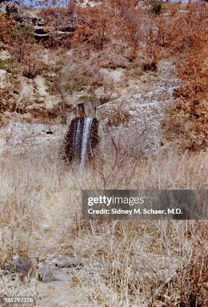 View of a small waterfall, as seen through dry brush, South Korea, January 1952. The photo was taken near the 8063rd MASH .