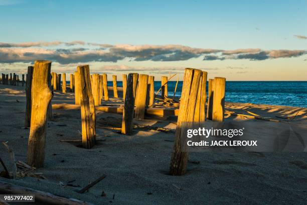 leucate 2015 - leucate photos et images de collection