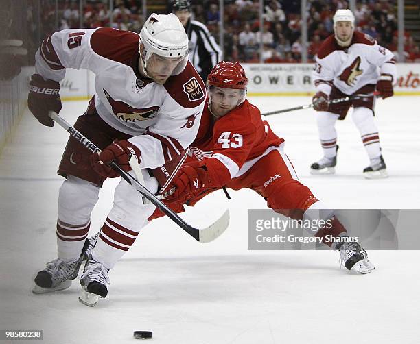 Matthew Lombardi of the Phoenix Coyotes tries to control the puck in front of Darren Helm of the Detroit Red Wings during Game Four of the Western...