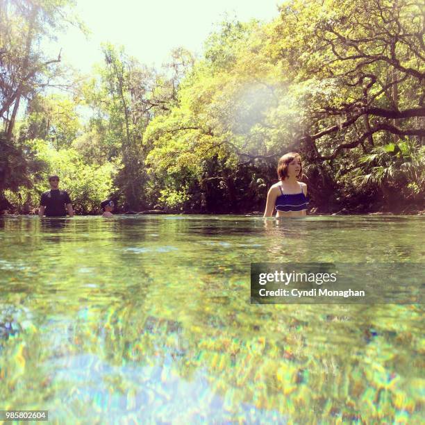 family wading in freshwater spring - süßwasser stock-fotos und bilder