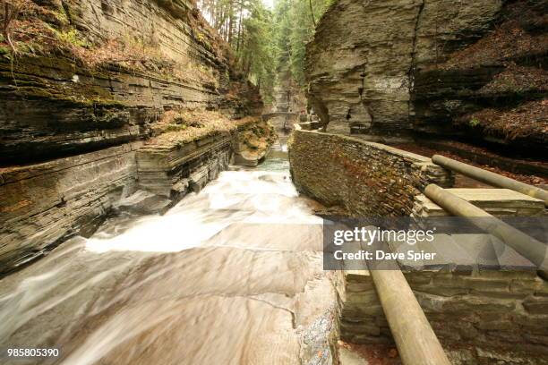 rushing into enfield glen, robert treman sp, ny - late devonian stock pictures, royalty-free photos & images