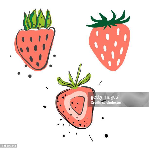 strawberries pencil drawings - fruit white background stock illustrations