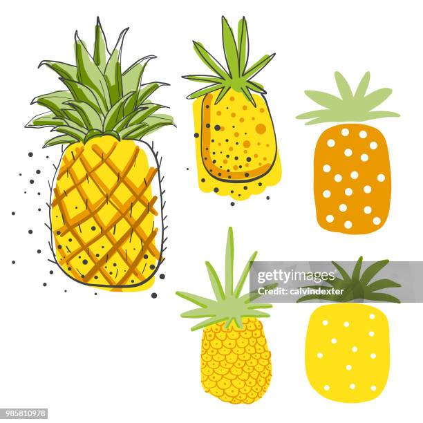 avocados bleistiftzeichnungen - ananas stock-grafiken, -clipart, -cartoons und -symbole