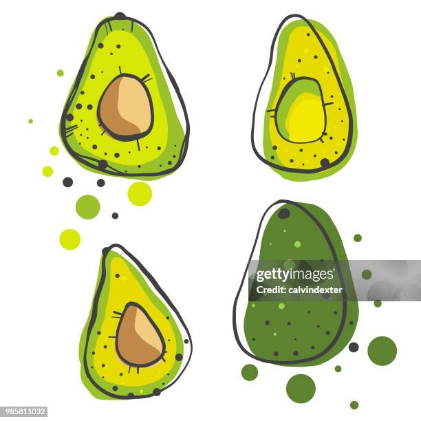 avocados pencil drawings - avocado stock illustrations