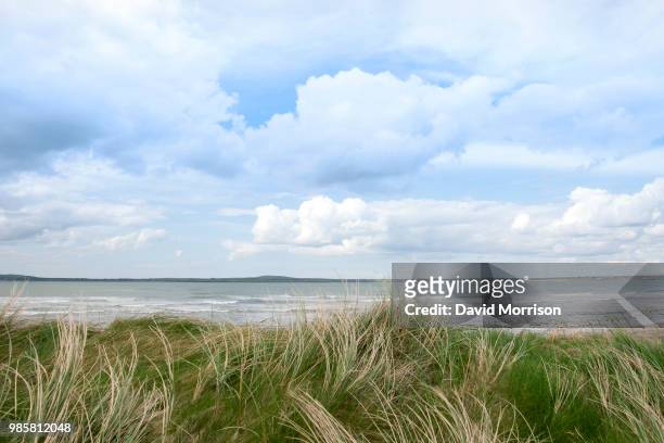 sand dune view of the river shannon - shannon river stock pictures, royalty-free photos & images
