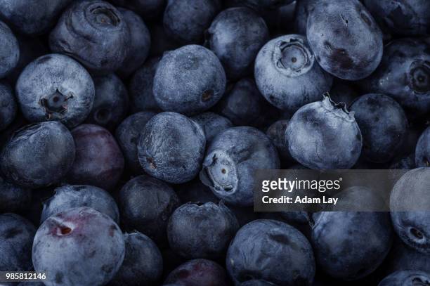 blueberry macro - adam berry stockfoto's en -beelden