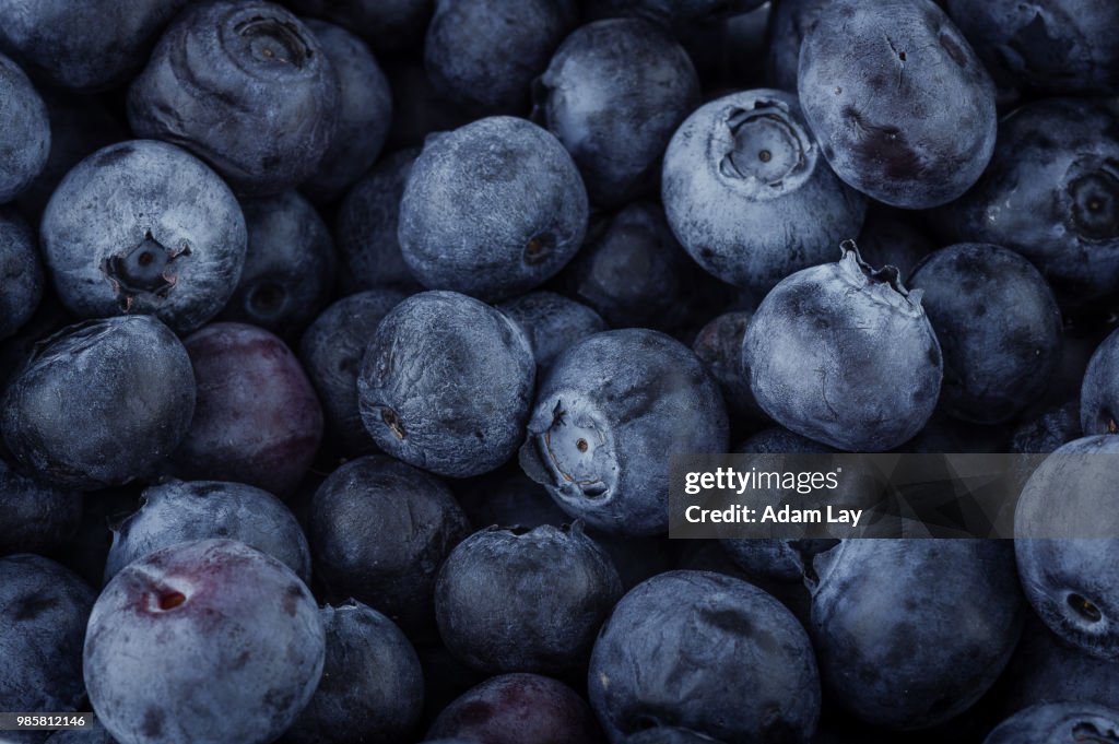 Blueberry macro