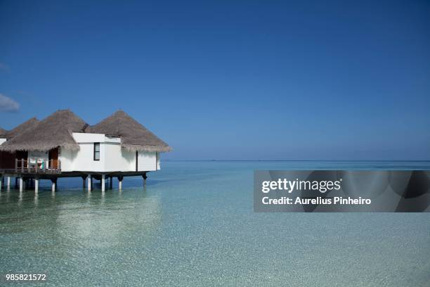 4 seasons - kuda huraa maldives - pinheiro stockfoto's en -beelden