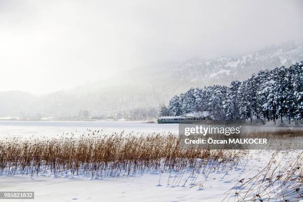 abant lake (frozen) 76-1 - abant turkey stockfoto's en -beelden