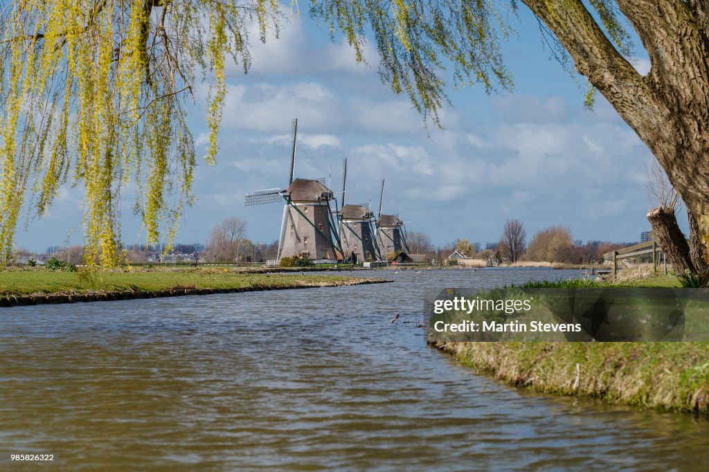 Windmills, Stompwijk, Zuid Holland, Netherlands