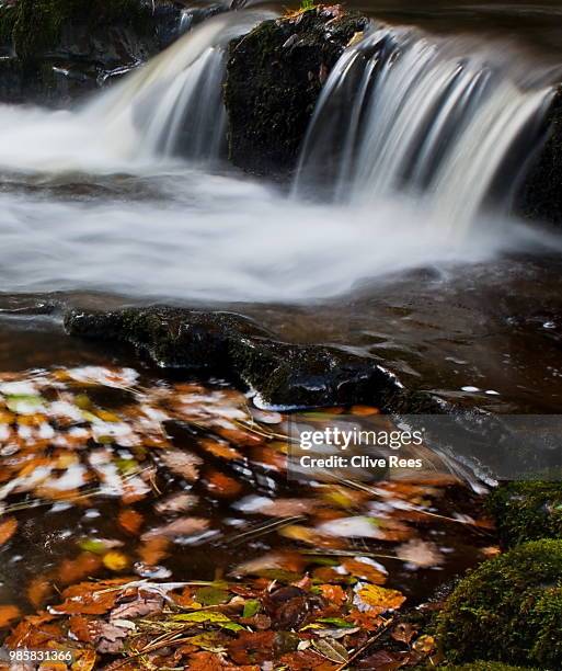 114 Clive Rees Stock Photos, High-Res Pictures, and Images - Getty Images