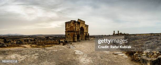 volubilis - volubilis stock pictures, royalty-free photos & images