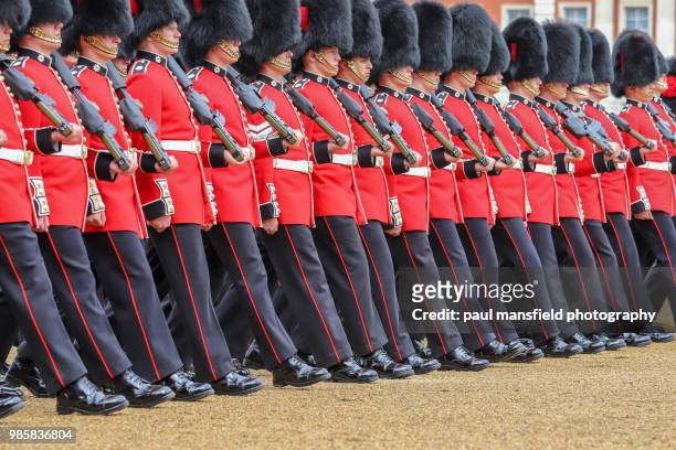 military parade at horse guards parade, london - paul mansfield photography stock pictures, royalty-free photos & images