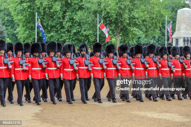 military parade at horse guards parade, london - paul mansfield photography stock-fotos und bilder