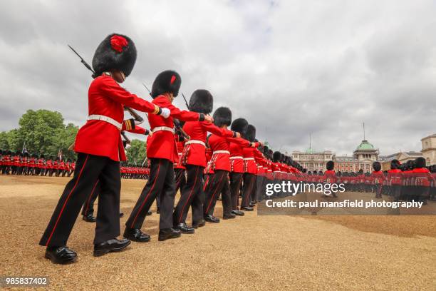 military parade at horse guards parade, london - paul mansfield photography stock-fotos und bilder