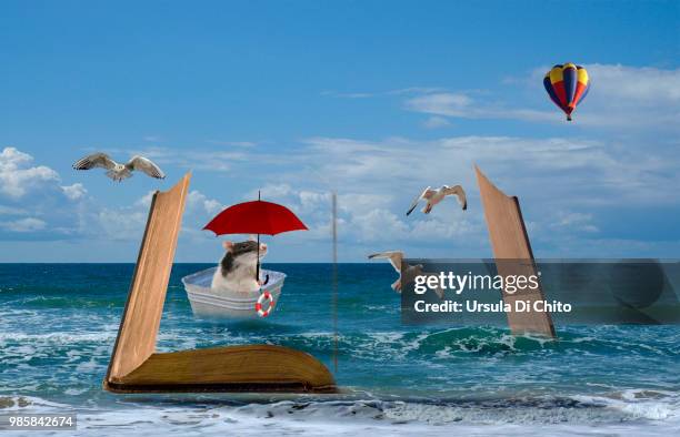 auf hoher see - mau egípcio imagens e fotografias de stock