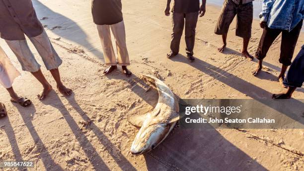mozambique, angoche island - nampula province stock pictures, royalty-free photos & images