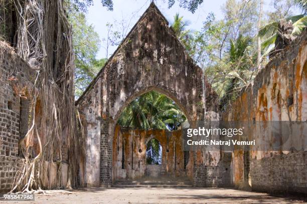 old ruins of a church, presbyterian church, ross island, port blair, andaman and nicobar islands, in - andaman & nicobar stock pictures, royalty-free photos & images