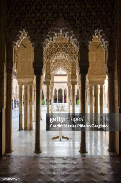 patio de los leones - leones imagens e fotografias de stock