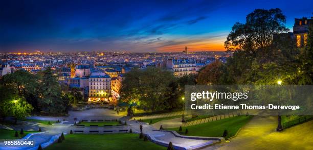 vue sur paris du haut de la butte montmartre - arbre vue de haut stock-fotos und bilder