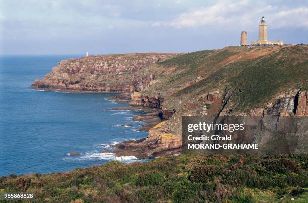 Lande au Cap Fréhel Côtes d'Armor, France.