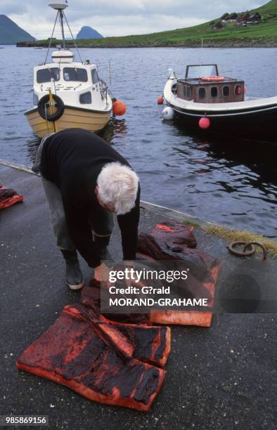 Partage de la viande de baleine sur le quai de Kirkjubour, Ile de Streymoy dans les Iles Féroé, Danemark.