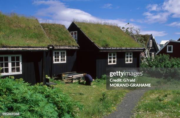 Maisons anciennes aux toits végétalisés sur la presqu'île de Tinganes dans les Iles Féroé au Danemark.