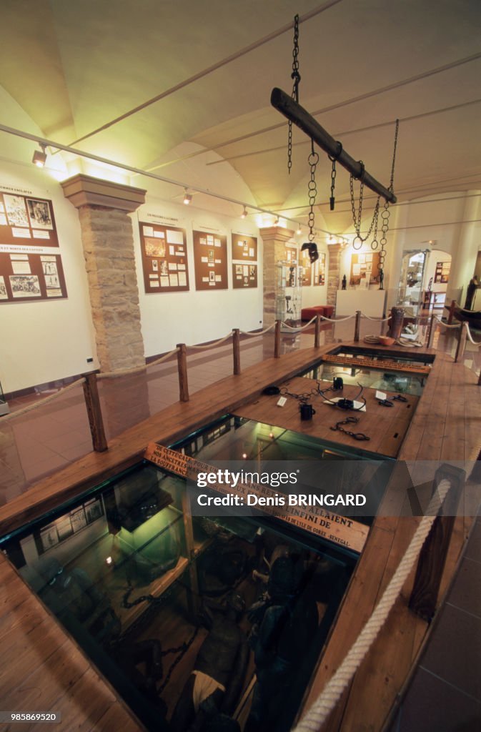 Maison de la Négritude et des Droits de l'Homme