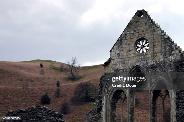 valle crucis abbey - crucis stock pictures, royalty-free photos & images