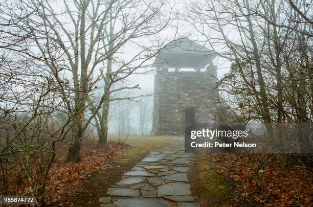 misty mountain top - peter nelson fotografías e imágenes de stock