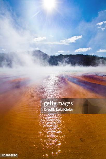 grand prismatic spring at yellowstone national park in wyoming, usa. - midway geyser basin stock-fotos und bilder