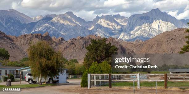 Roth Tree Photos and Premium High Res Pictures - Getty Images