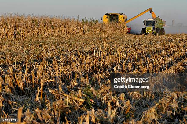 New Holland Agriculture combine harvests corn in Ines Indart, Agentina, on Monday, April 5, 2010. Before April 20, corn declined 14 percent this year...