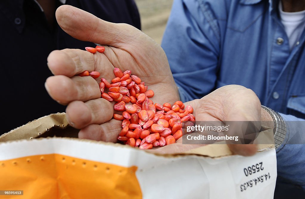 Monsanto, DuPont Race To Win $2.7 Billion Drought-Corn Market