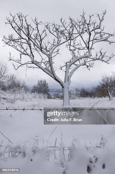 paisaje nevado - paisaje stockfoto's en -beelden