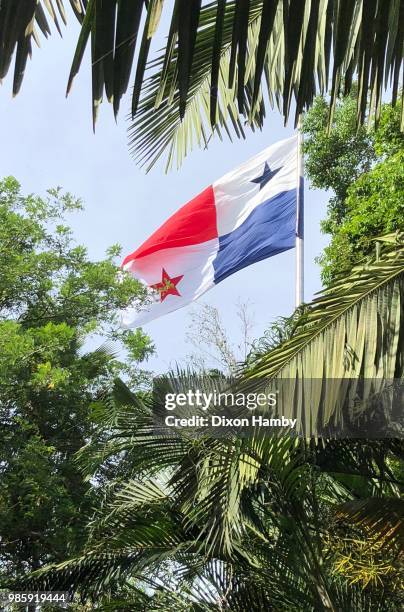 panama flag - bandera panameña fotografías e imágenes de stock