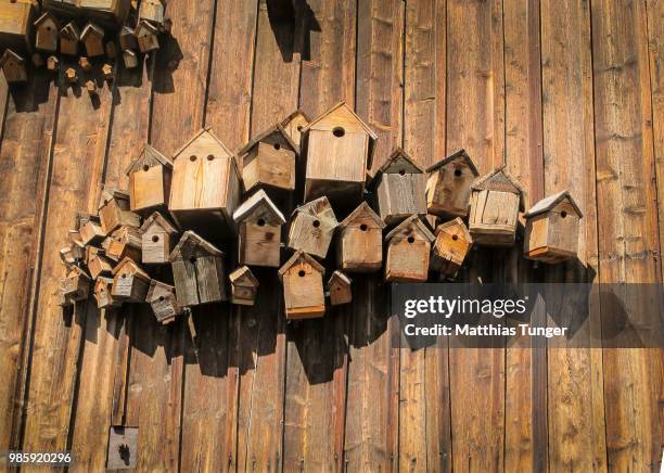 hutthurm,germany - birdhouse stock pictures, royalty-free photos & images