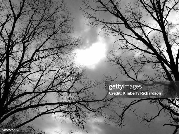 such a gothic sky - kemberly richardson fotografías e imágenes de stock