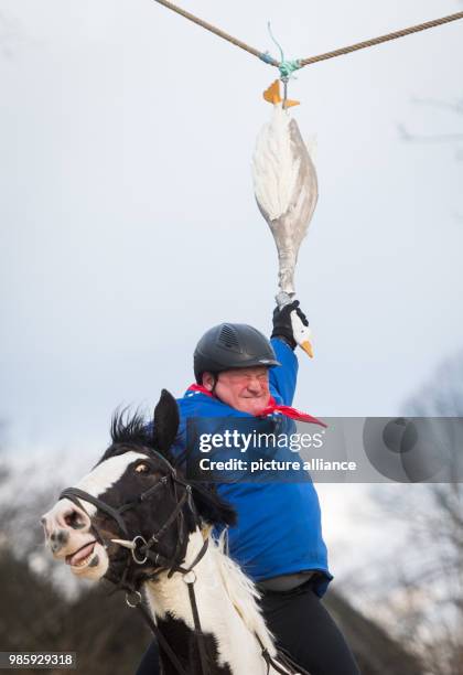 The day's winner of the traditional geese riding of the Geese Rider Club Sevinghausen, Joerg Wendorf, reaches for the wooden goose in Bochum,...