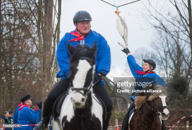 The day's winner of the traditional geese riding of the Geese Rider Club Sevinghausen, Joerg Wendorf , reaches for the wooden goose in Bochum,...