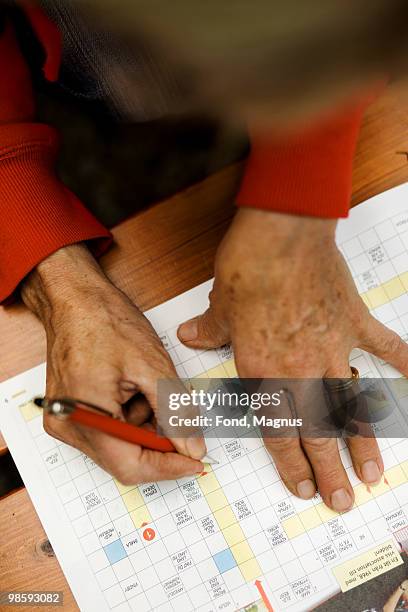 woman solving a crossword, sweden. - crossword stock pictures, royalty-free photos & images