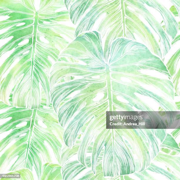 stockillustraties, clipart, cartoons en iconen met vector philodendron blad naadloze patroon in aquarel geïsoleerd op wit - tropical leaves