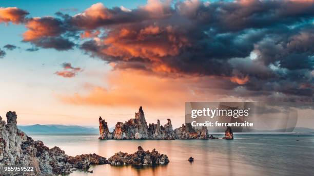 mono lake tufa state reserve - carbonaatmineraal stockfoto's en -beelden