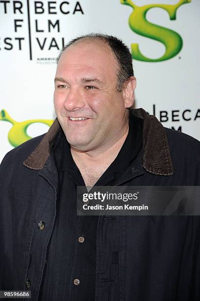 Actor James Gandolfini attends the 2010 Tribeca Film Festival opening night premiere of "Shrek Forever After" at the Ziegfeld Theatre on April 21,...