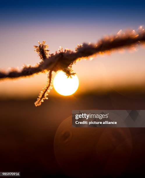 February 2018, Germany, Hanover: Small particles of ice cling to a barbwire during a winterly sun rise. Photo: Peter Steffen/dpa