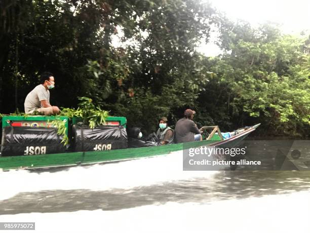 January 2018, Indonesia, Kota Palangka Raya: Staff members of the animal rights and conservation group 'Borneo Orangutan Survival' carry two cages...