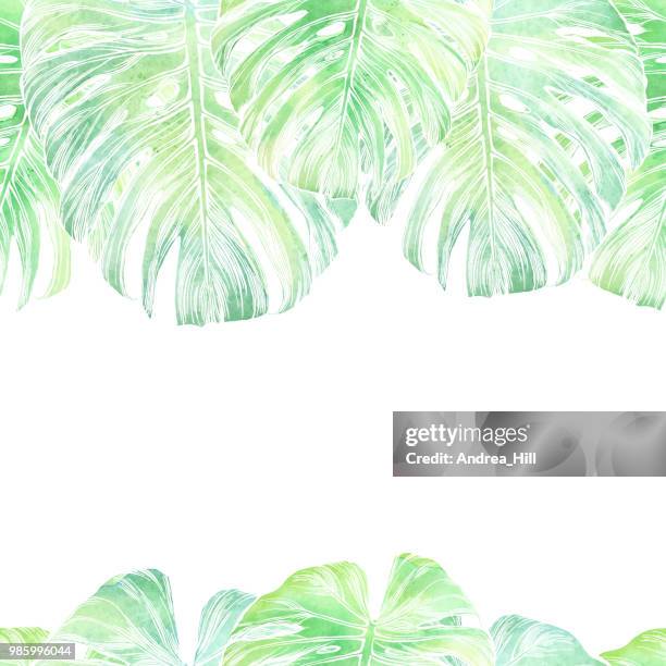 vector philodendron leaf seamless pattern in watercolor isolated on white - philodendron stock illustrations