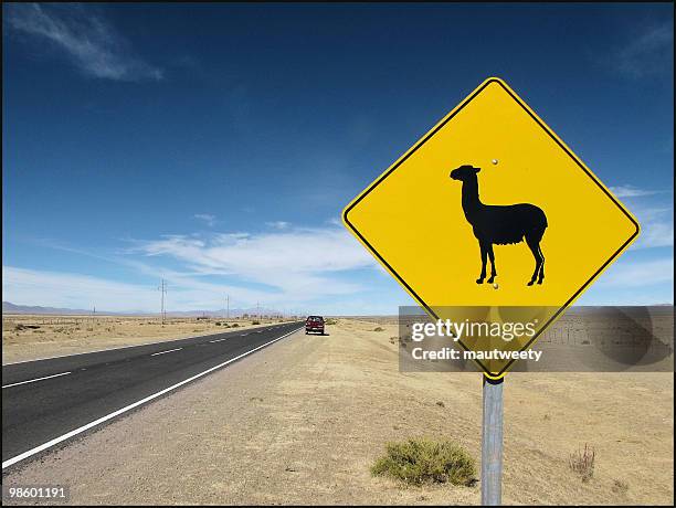 Lama Visual Sign 618 Future Lama Stock Photos, High-Res Pictures, and Images - Getty Images