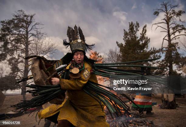 Mongolian Shaman or Buu, takes part in a fire ritual meant to summon spirits at the Mother Tree on April 05, 2018 in Sukhbaatar, Selenge Province,...